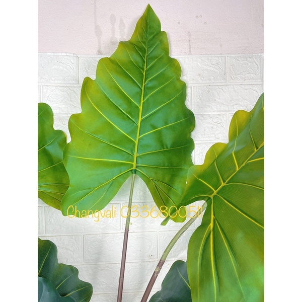 Cây giả-Cây Tai Voi Nam Phi loại cao cấp ,decor cực đẹp