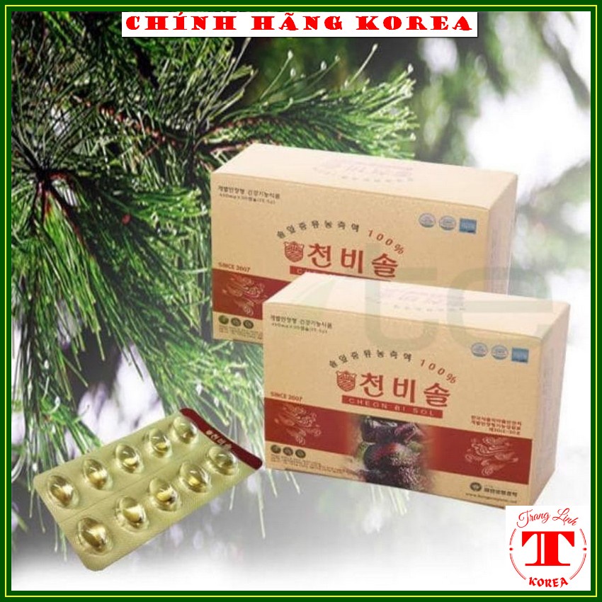 Tinh dầu thông đỏ hàn quốc Cheon Bi Sol nội địa, hộp 180 viên - Tăng đề kháng, giảm mỡ máu, phòng ung thư - tranglinh