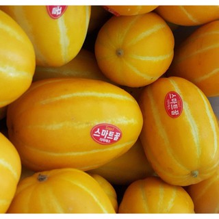 Hạt giống dưa lê Hàn
