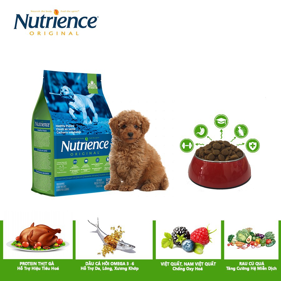 Thức ăn cho chó con Nutrience Original Puppy
