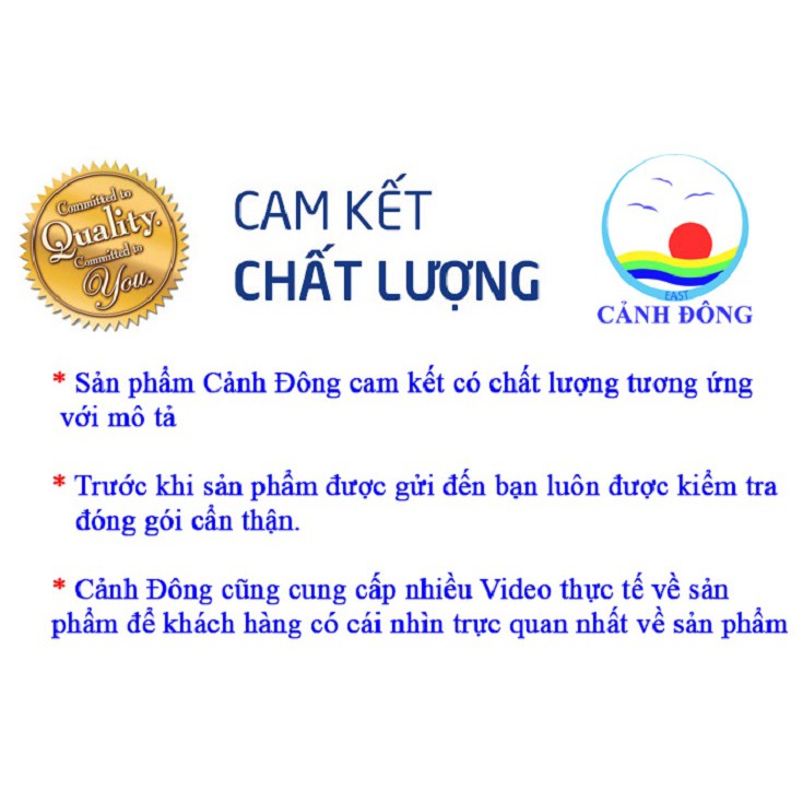 Vật phẩm phong thủy than hoạt tính CHỮ PHÚC sang trọng