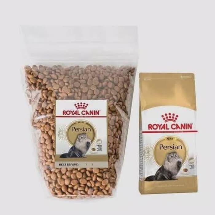 Xe Đua Đồ Chơi Điều Khiển Từ Xa 1kg 1kg