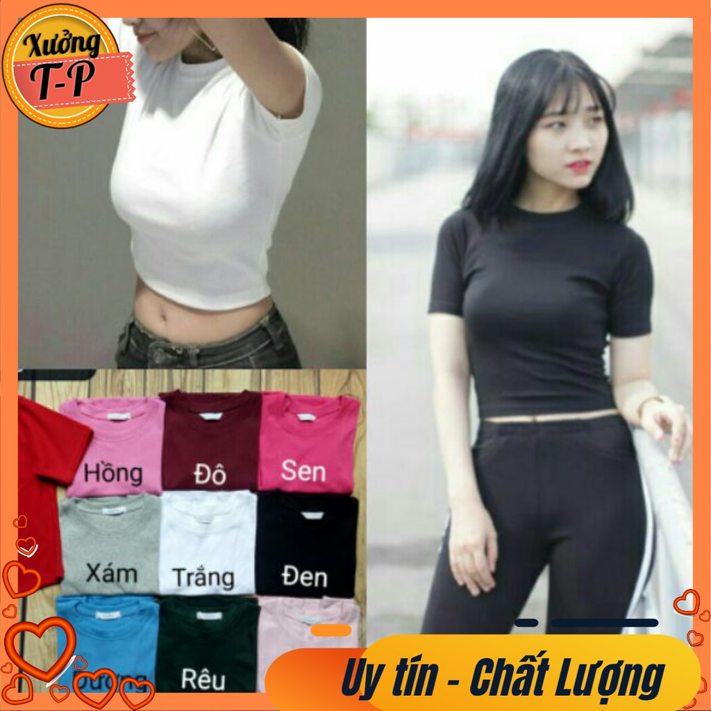 Áo Croptop Trơn (kèm ảnh thật, video)