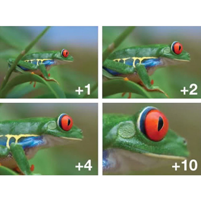 Bộ 4 Kính Lọc Close up +1 +2 +4 +10