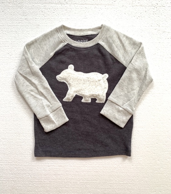 Sale rẻ  Áo xuất xịn của Carter, jumping beans, oldnavy
