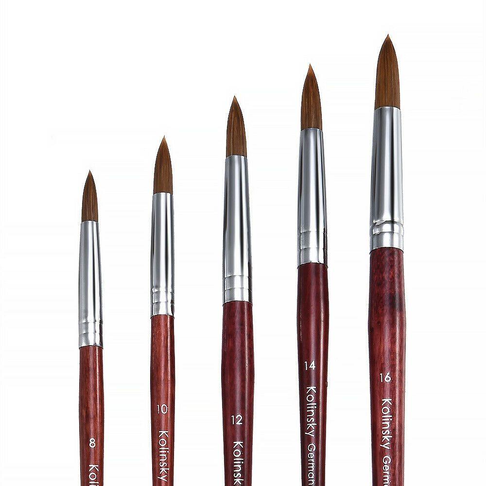 Cọ Vẽ Trang Trí Móng Tay Nghệ Thuật Acrylic Với Tay Cầm Bằng Gỗ Thời Trang Dễ Sử Dụng