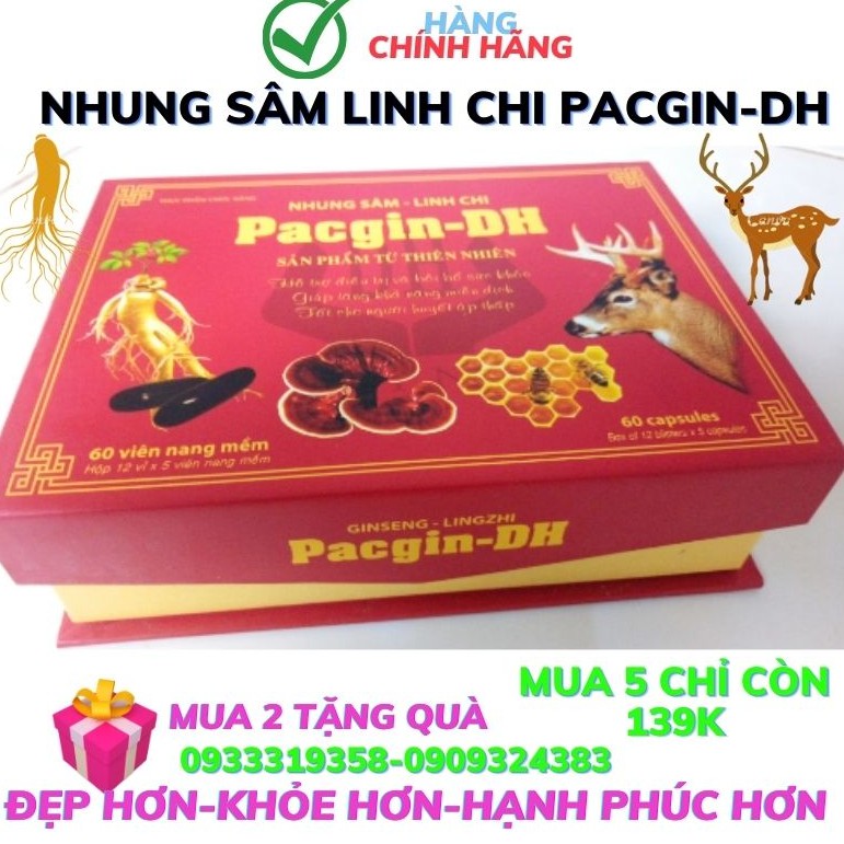 VIÊN UỐNG NHUNG SÂM LINH CHI PACGIN-DH hộp 60 viên