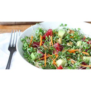 Hạt Giống Rau Mầm Cải Mầm Giàu Dinh Dưỡng - Trồng Hạt Giống Rau Củ Quả Bằng Đất Sạch, Xơ Dừa, Mùn Dừa Và Phân Bón Hữu Cơ