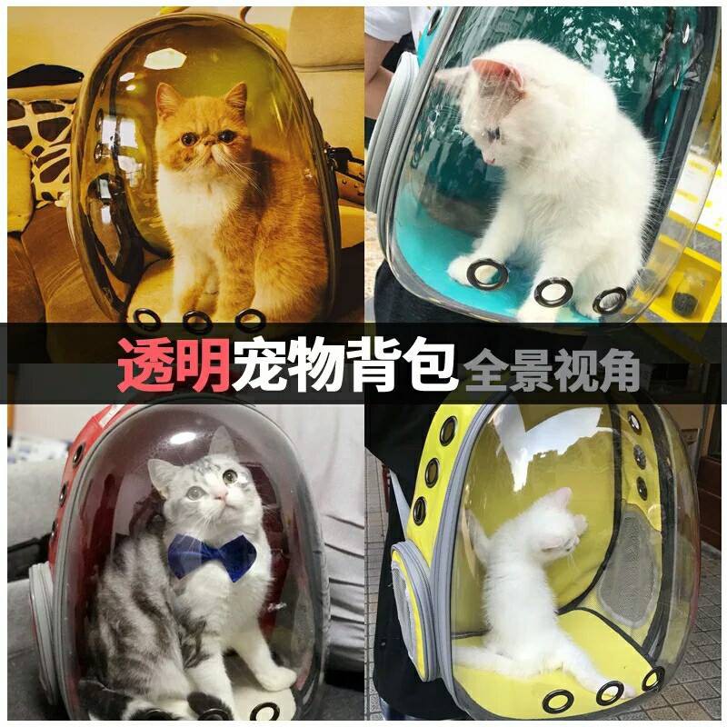 Balo trong suốt dành cho chó mèo