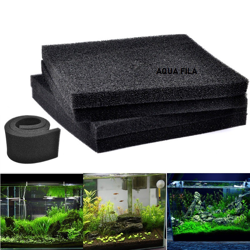 Mút Đen Lọc Nước Hồ Cá khổ 50x50x5cm và 3cm