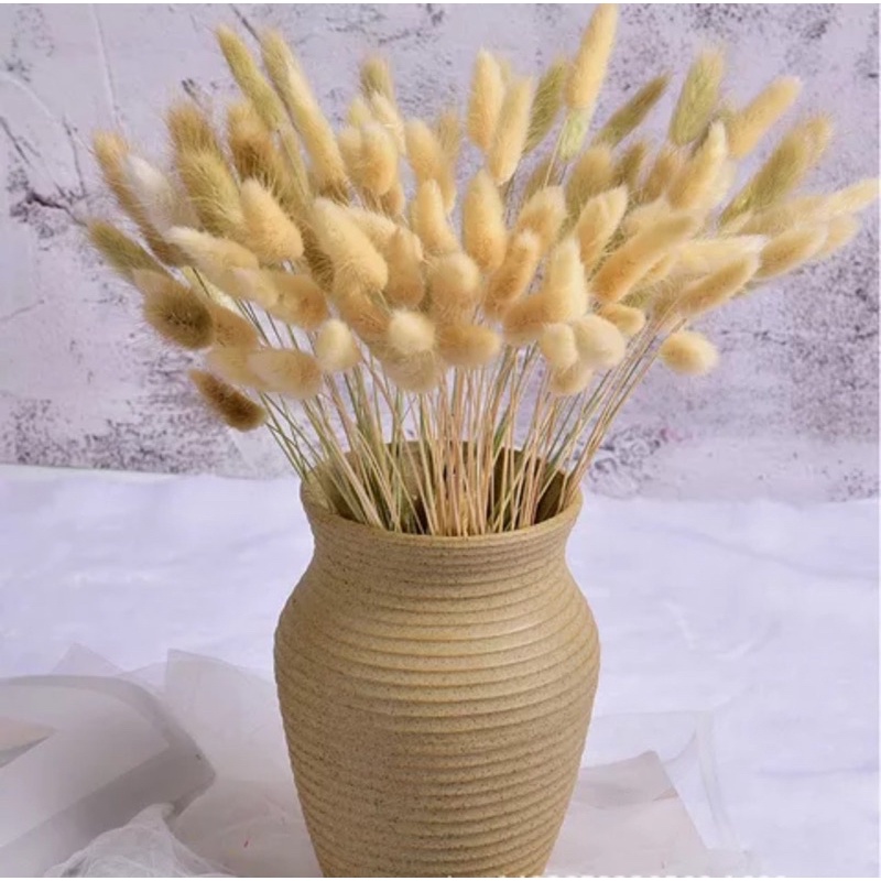 5 hoa đuôi thỏ decor giá mềm- có nhiều màu dùng decor trang trí