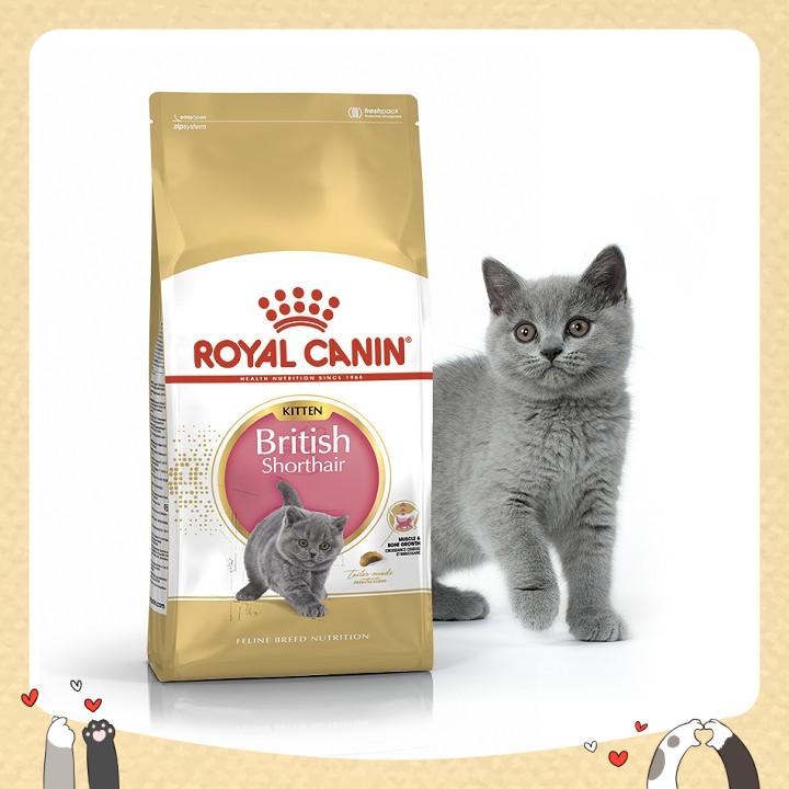 Hạt Royal Canin British Shorthair Kitten cho mèo con Anh lông ngắn 2kg