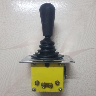 Tay Đảo chiều cho ô tô điện