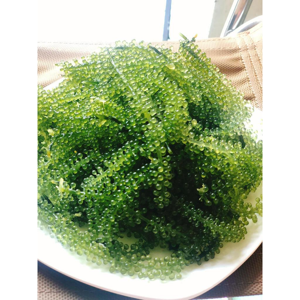 COMBO 2 GÓI RONG NHO TÁCH NƯỚC 100G, rong nho tách nước Khánh Hoà 100g - Thực phẩm sạch - tăng sức đề kháng