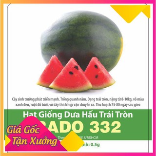 Hạt Giống Dưa Hấu Trái Tròn Sai Trái 0.5gr