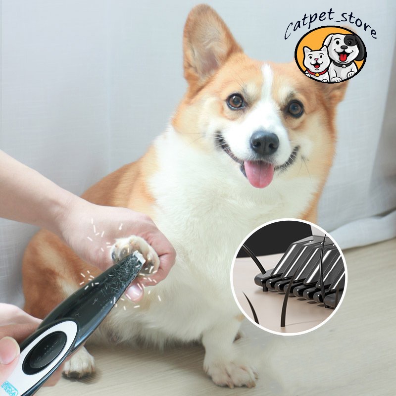 Tông đơ cạo bàn chân chó mèo,tông đơ cạo lông chó mèo chính hãng