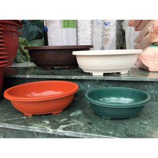 chậu nhựa bonsai