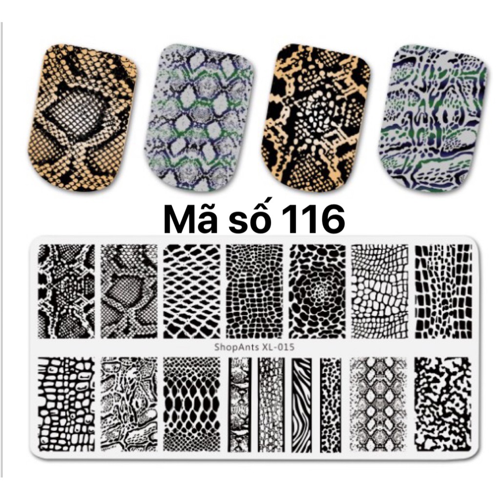 bảng in hình móng 116-130