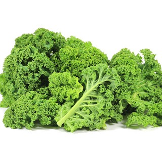 Gói 1000 hạt giống rau cải xoăn kale