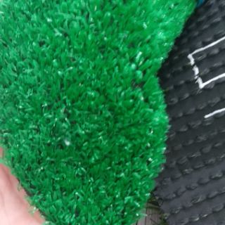 Thảm cỏ  1 phân 85k/ m vuông