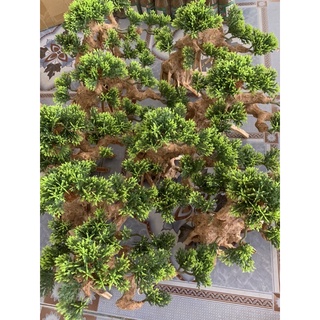 Cây Lũa BonSai Thuỷ Sinh ( lá giả) mẫu tương tự ]