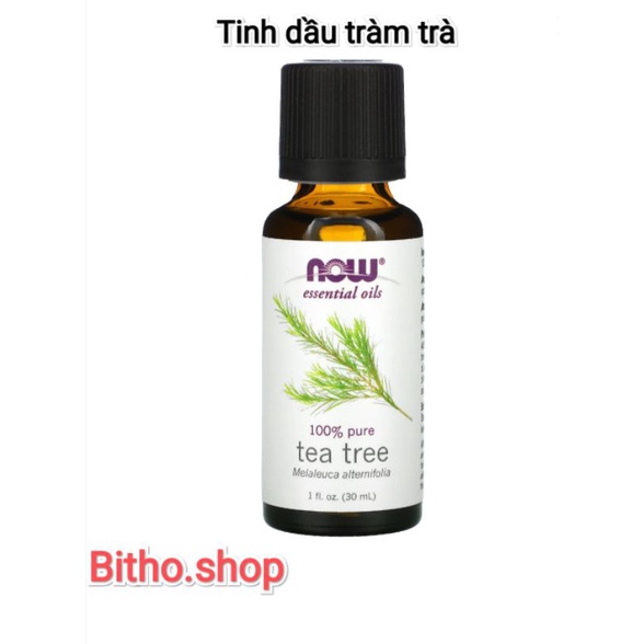 [3/2023] Tinh dầu Tràm Trà Now Organic Essential Oils Tea Tree 30ml