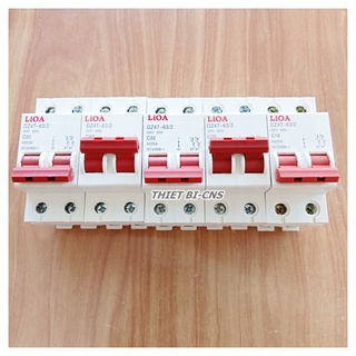 Aptomat - Cầu dao LiOA 2P 6A - 100A/ 4.5kA - Chính hãng