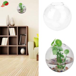Bình hoa treo tường trang trí