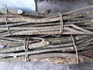 1KG ƯNG BẤT BẠC