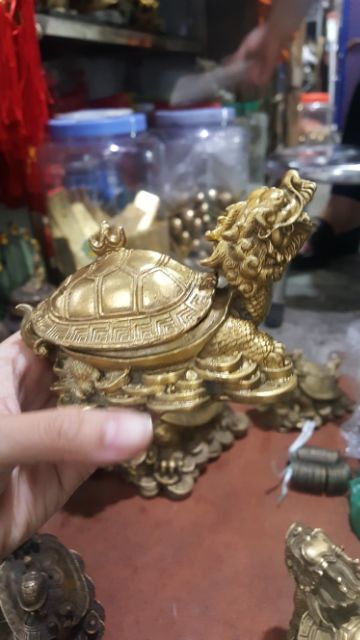 Long Quy / Rùa nắp mai mở