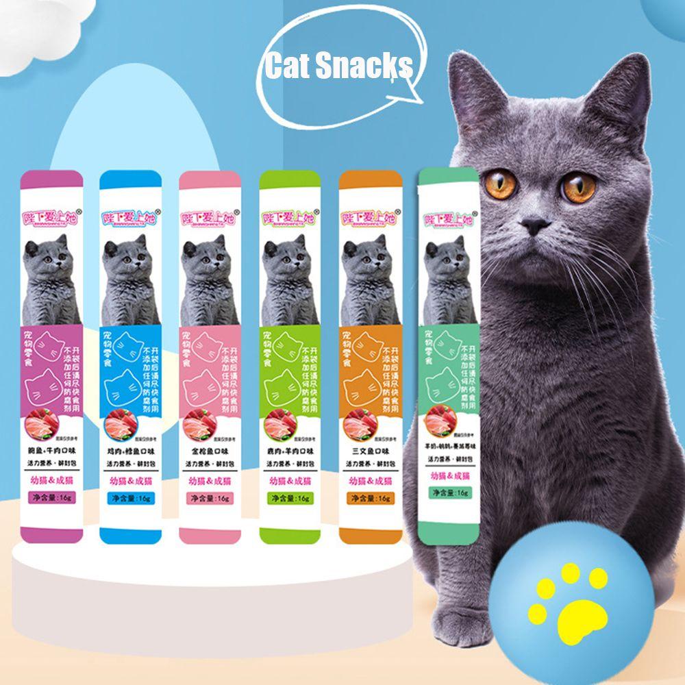 Bộ 10 Đồ Chơi Huấn Luyện Chuyên Dụng Dành Cho Mèo