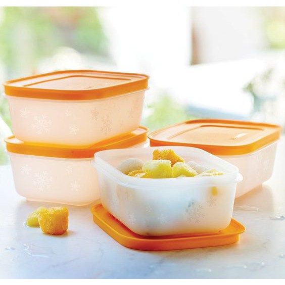 Hộp Trữ Đông Freezermate Gen II 450ml Tupperware, Hộp Trữ Đông Nhựa Dẻo Không Bể Vỡ