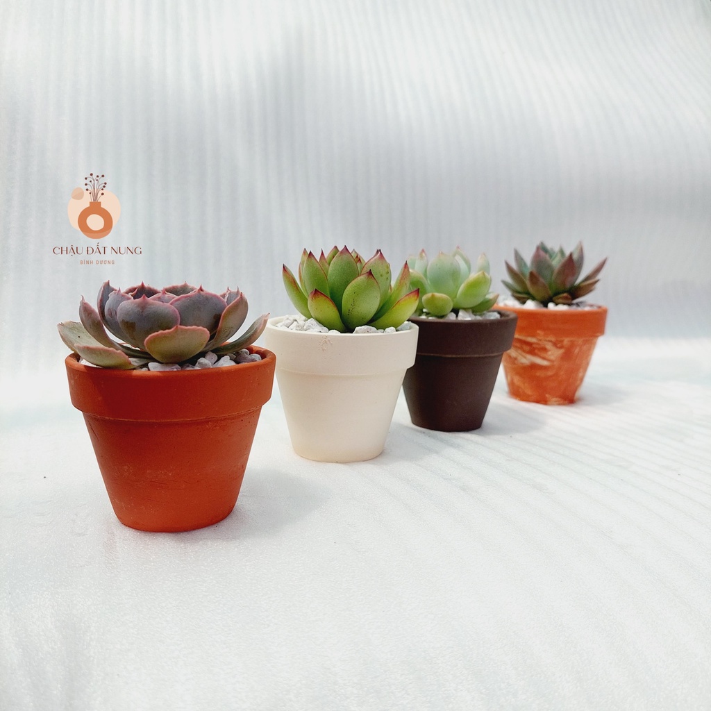 Chậu đất nung, Chậu sen đá - Chậu ly có gờ 76, miệng chậu 7cm, chiều cao 6cm [BESTSELLERS]