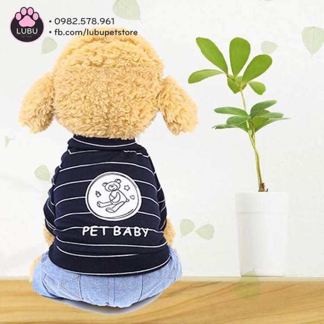 Bộ pet baby đáng yêu cho cún