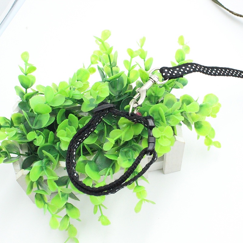 Dây Dắt Kèm Vòng Cổ Chuông Nhiều Màu Sắc Cho Chó Mèo