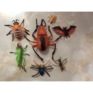 Túi động vật côn trùng