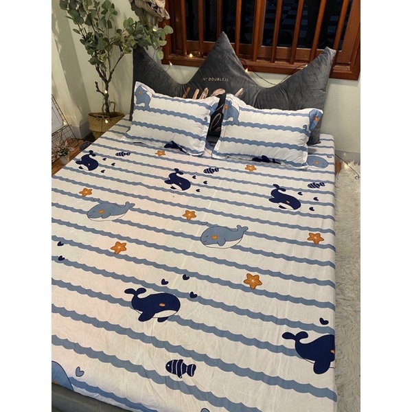 Bộ ga gối ôm cotton poly bo chun chắc chắn loại 1 cao cấp