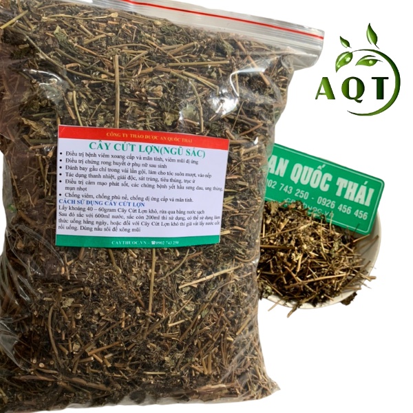 Cây Cứt Lợn Khô 1Kg (Cỏ Hôi Bông Tím), Cây Cỏ Hôi Hỗ Trợ Viêm Xoang, Viêm Mũi Dị Ứng | Thảo dược An Quốc Thái
