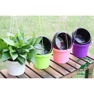 Chậu cây tự dưỡng thông minh - K03