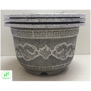 3 Chậu Nhựa Rồng Trắng A250x170