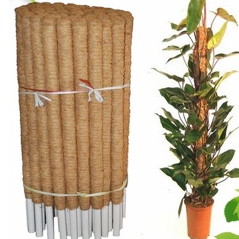 Thanh xơ dừa trồng cây/ hoa dây leo/cây thìa là tiện lợi