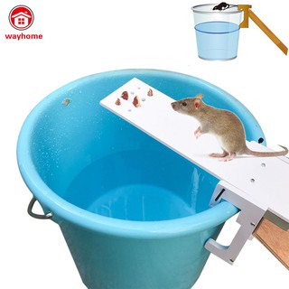 Bẫy Chuột Hiệu Quả Tiện Dụng Chất Lượng Cao