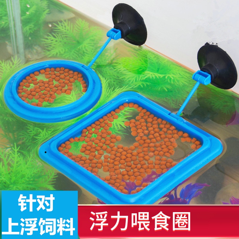 Dụng Cụ Cho Cá Ăn Hình Tròn Tiện Dụng