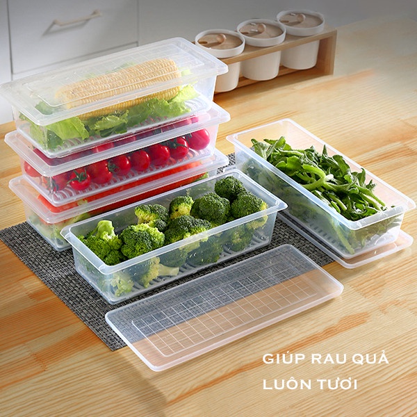 Hộp Thực Phẩm , Hộp Đựng Hoa Quả,Thực Ăn, Rau Củ Để Tủ Lạnh Bằng Nhựa PP Cao Cấp An Toàn Cho Sức Khỏe