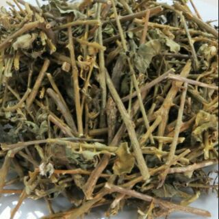 1kg cây cà gai leo khô