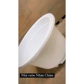 Chậu trồng cây trắng trơn A280