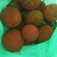 500gr bò khô nhà làm