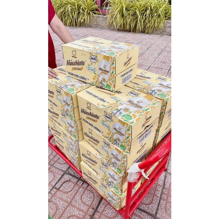 COMBO 6 CHAI TRÀ SỮA MACHIATO | BigBuy360 - bigbuy360.vn