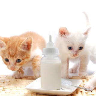 Sữa bột Bio milk cho chó mèo 100g