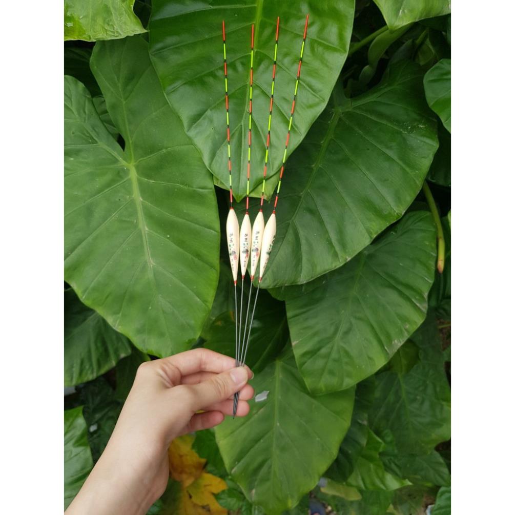 Siêu Cấp Phao Câu Đài,Phao Kim,Chất Lượng,Báo Cá Chuẩn